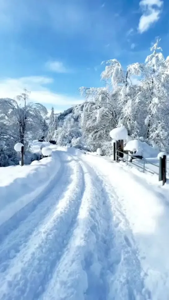 Зимняя сказка✨✨✨