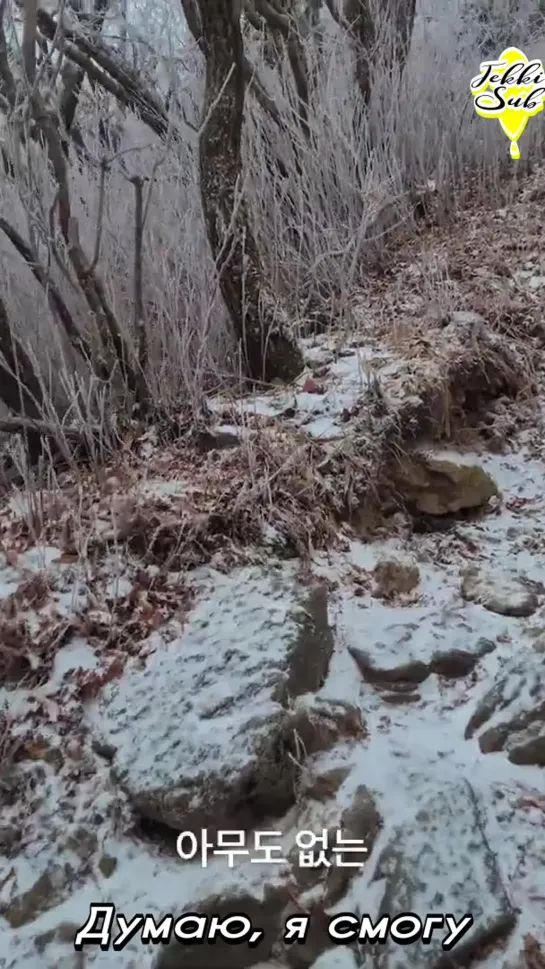 Deogyusan National Park. Hyangjukbong [rus.sub]