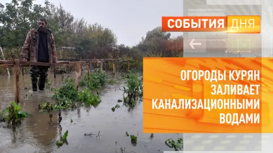 Огороды курян заливает канализационными водами