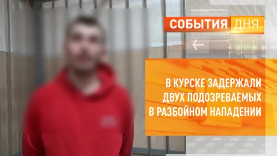 В Курске задержали двух подозреваемых в разбойном нападении