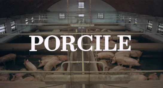 Свинарник / Porcile / Pigsty (1969) dir. Pier Paolo Pasolini [1080p] (ENG SUB)