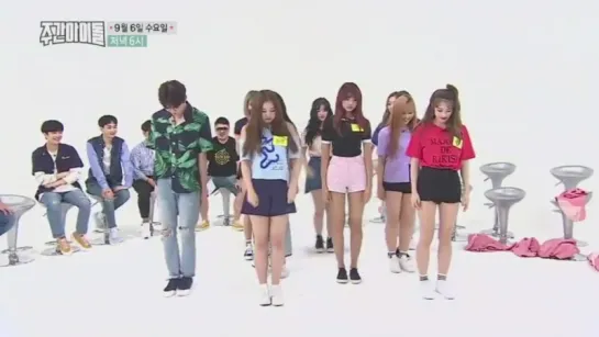 [SHOW/cut] 'Weekly Idol' Ep.319 (Рандомные танцы) - Pledis Выпуск!