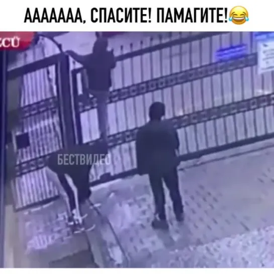 спасите , помогите . видео приколы