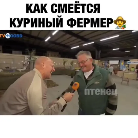 как смеётся куриный фермер , видео приколы