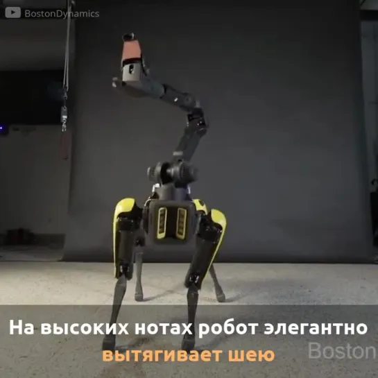 Робот Spot от Boston Dynamics танцует лучше многих людишек , прикол