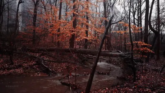 Relaxing Walk in Thunderstorm, Binaural Rain and Nature Sounds for Sleep and Study ¦ 4k ASMR