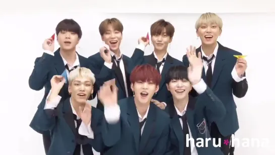 190510 • haruhana_tvg twitter update • ONF