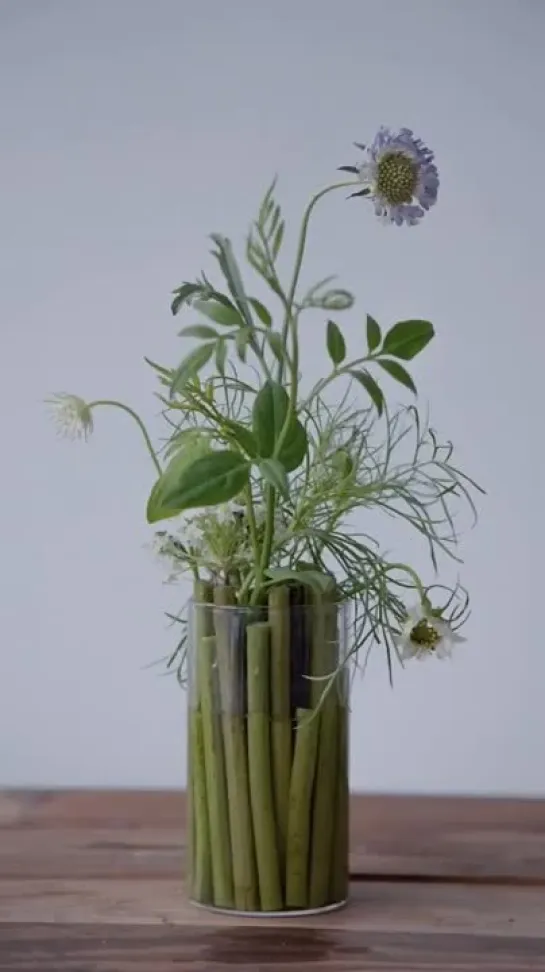 Simple Flower Arrangement in Glass Container(MP4).mp4