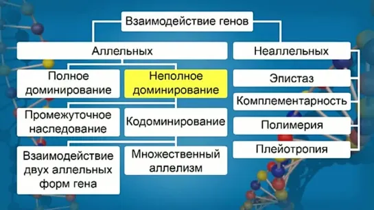 Биология. 9 класс. Урок 23. Взаимодействие аллельных и неаллельных генов