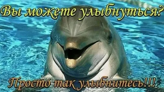 💥🐬🐬 Прыжок дельфина 🐬🐬💖😸🌟