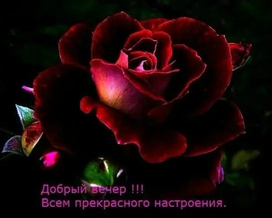 ╭⊱🌹🌜💜ꕥ⊱💖 Романтического вечера! 💖⊱ꕥ💜🌛🌹⊱╮