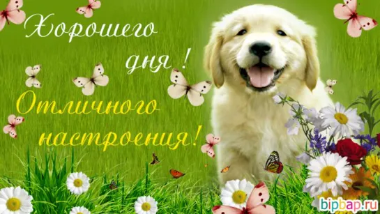 •.¸¯`’•.¸*♫♪I♥♫♪*¸.•’´¯¸.💖• С ДОБРОТОЙ •💖.¸¯`’•.¸*♫♪I♥♫♪*¸.•’´¯¸.•