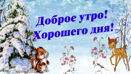 с Добрым Зимним Утром!❄☕🌞❄  Отличного настроения на день!  ❄🌞☕❄🙏