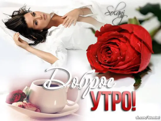 •⊰◄═╬₪✨🌺✨⊱•ДОБРОЕ УТРО !•⊰✨🌺✨₪╬═►•⊰