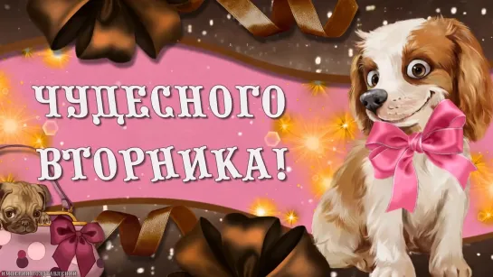 Доброе Утро! 💖🙏꧁ღ╭⊱💥ꕥ⊱🌞☕  Чудесного Вторника   ☕🌞⊱ꕥ💥⊱╮ღ꧂