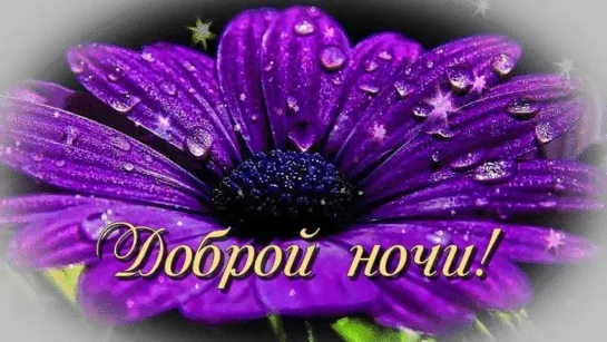 ✨💕ஜ 💎  🌜⭐● Спокойной Ночи Сладких Снов ●🌛 💎 ஜ💕🎼