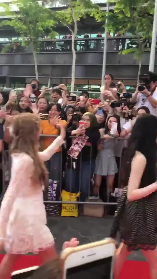 190526 (G)I-DLE - HallyuPopFest2019 Red Carpet @ Fancam