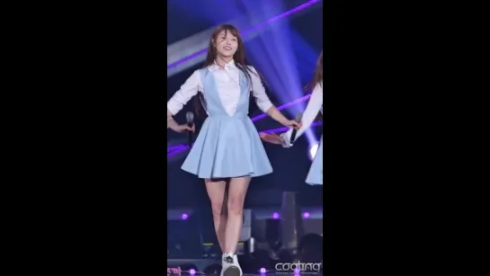 151031  12 (Lovelyz)-(Hi~)() (Fancam) (Vertical)