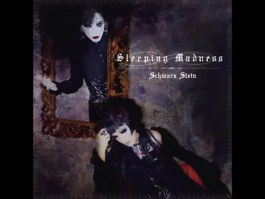 Schwarz Stein 'Sleeping Madness' (single) 2014.11.05