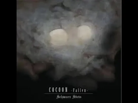 Schwarz Stein 'COCOON -Fallen-' (single) 2014.07.02