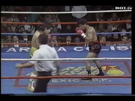 Marco Antonio Barrera vs. Esteban Rodriguez