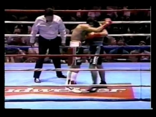 1995-03-31 Daniel Jimenez vs Marco Antonio Barrera / Даниэль Хименес - Марко Антонио Баррера