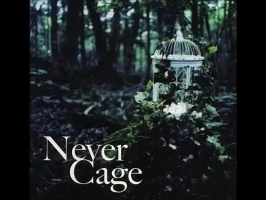 LAREINE 'Never Cage' (Album) 2004.09.05