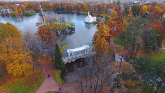 Царское село | Санкт-Петербург с дрона