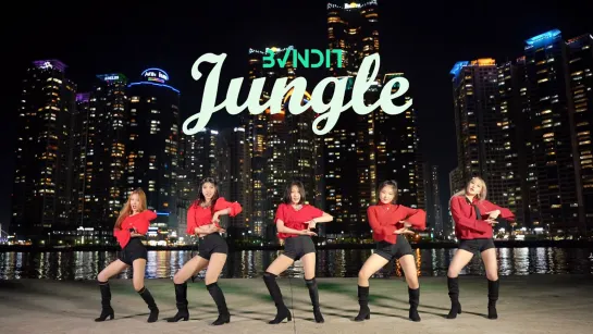 BVNDIT(밴디트) - JUNGLE(정글) DANCE COVER (댄스 커버)