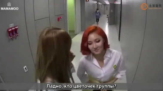 [VIDEO]MAMAMOO за кулисами The Show 07.04.16 [рус.саб]