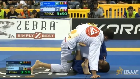 André Galvão Vs Felipe Pena IBJJF Worlds 2014 Final