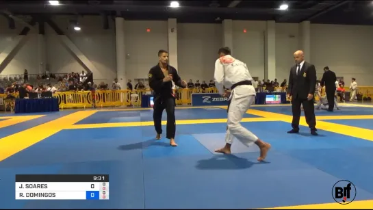 JAIME CANUTO vs RAFAEL DOMINGOS 2019 American National IBJJF Jiu-Jitsu Championship