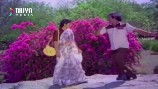 "Gopal Rao Gari Ammayi" 1980 Telugu Movie  Full Video Songs Jukebox  Jayasudha  Chandra Mohan