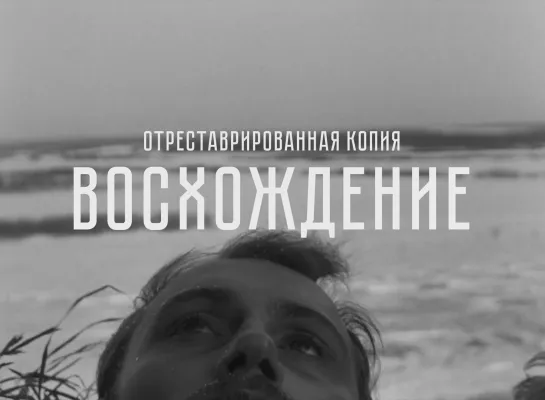 Трейлер фильма «Восхождение» Ларисы Шепитько. В кино с 24 сентября