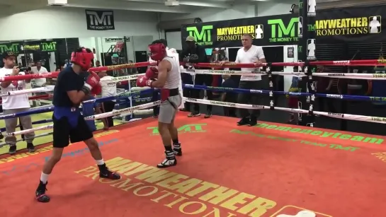 Rolly vs Ryan Garcia V1 New