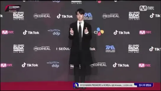 FANCAM | 181210 | Red Carpet in MAMA 2018