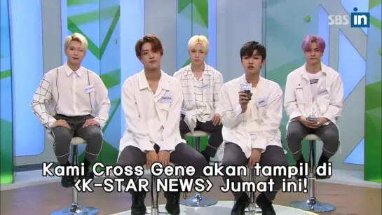 Cross Gene  <K-STAR NEWS> preview