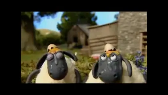 Shaun the sheep 30