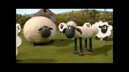 Shaun the sheep 25