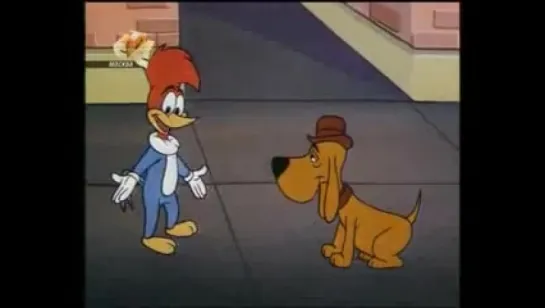 Woody Woodpecker - 193 - Show Biz Beagle