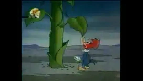 Woody Woodpecker - 149 - Woody and the Beanstalk