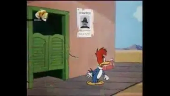 Woody Woodpecker - 144 - Janie Get Your Gun