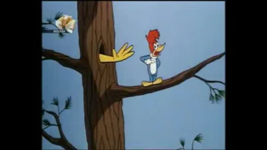 Woody Woodpecker - 143 - Canned Dog Feud