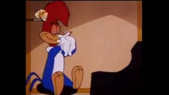 Woody Woodpecker - 136 - Skinfolks