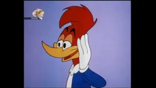 Woody Woodpecker - 126 - Shutter Bug