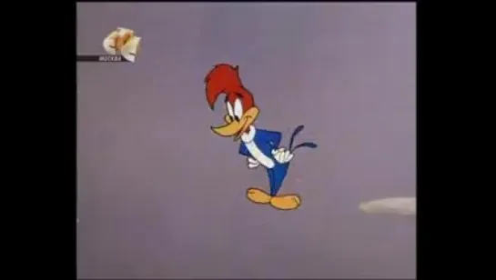 Woody Woodpecker - 105 - Fowled Up Falcon