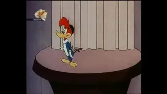 Woody Woodpecker - 104 - Southern Fried Hospitality