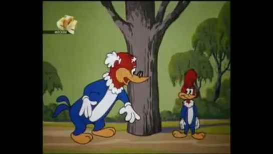 Woody Woodpecker - 101 - How to Stuff a Woodpecker