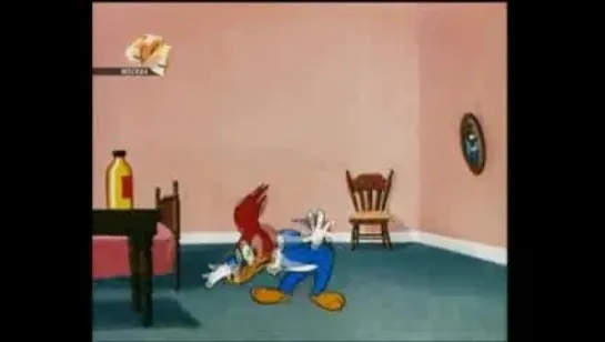 Woody Woodpecker - 055 - Under the Counter Spy