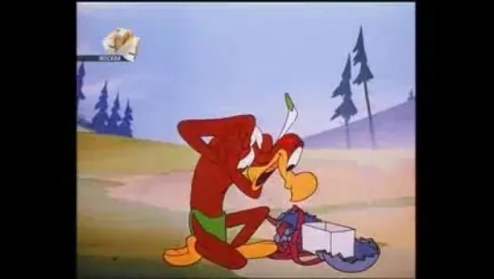 Woody Woodpecker - 043 - Scalp Treatment